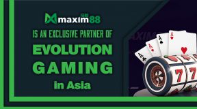 Maxim88 X Evolution