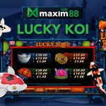 Lucky Koi