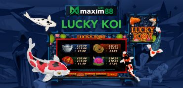Lucky Koi