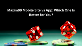 Maxim88 Mobile Site vs App: Which One Is Better for You